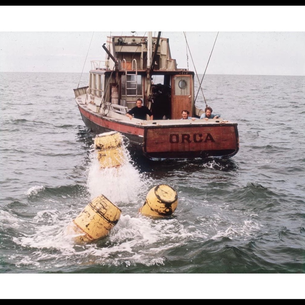 SPERRY JAWS Special Edition Sneakers - Picture 10 of 16